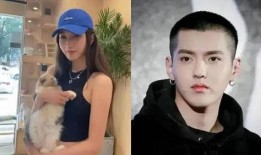 娱乐圈男星近期吃瓜事件,近期吃瓜事件盘点，揭秘明星背后的真相