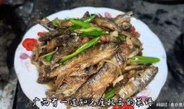 鱼仔最新爆料,揭秘娱乐圈最新动态与幕后故事