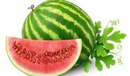 吃瓜绵阳小网红,揭秘网络红人的成长之路