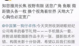 关于娱乐圈爆料的文章,揭秘明星背后的故事与真相